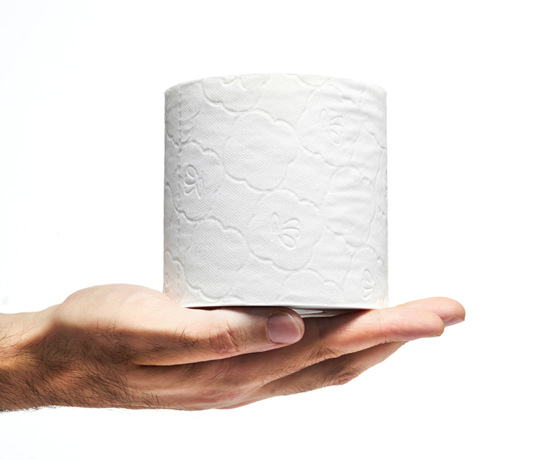 Ultra-Soft, Eco Friendly Bamboo Toilet Paper - 48 Rolls